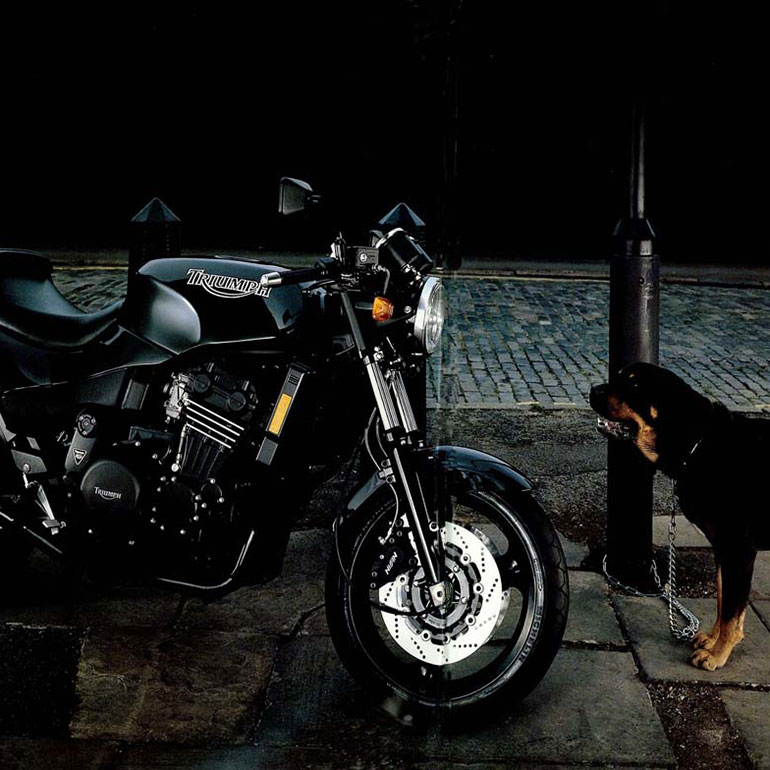 Triumph Bike facing a Rottweiler