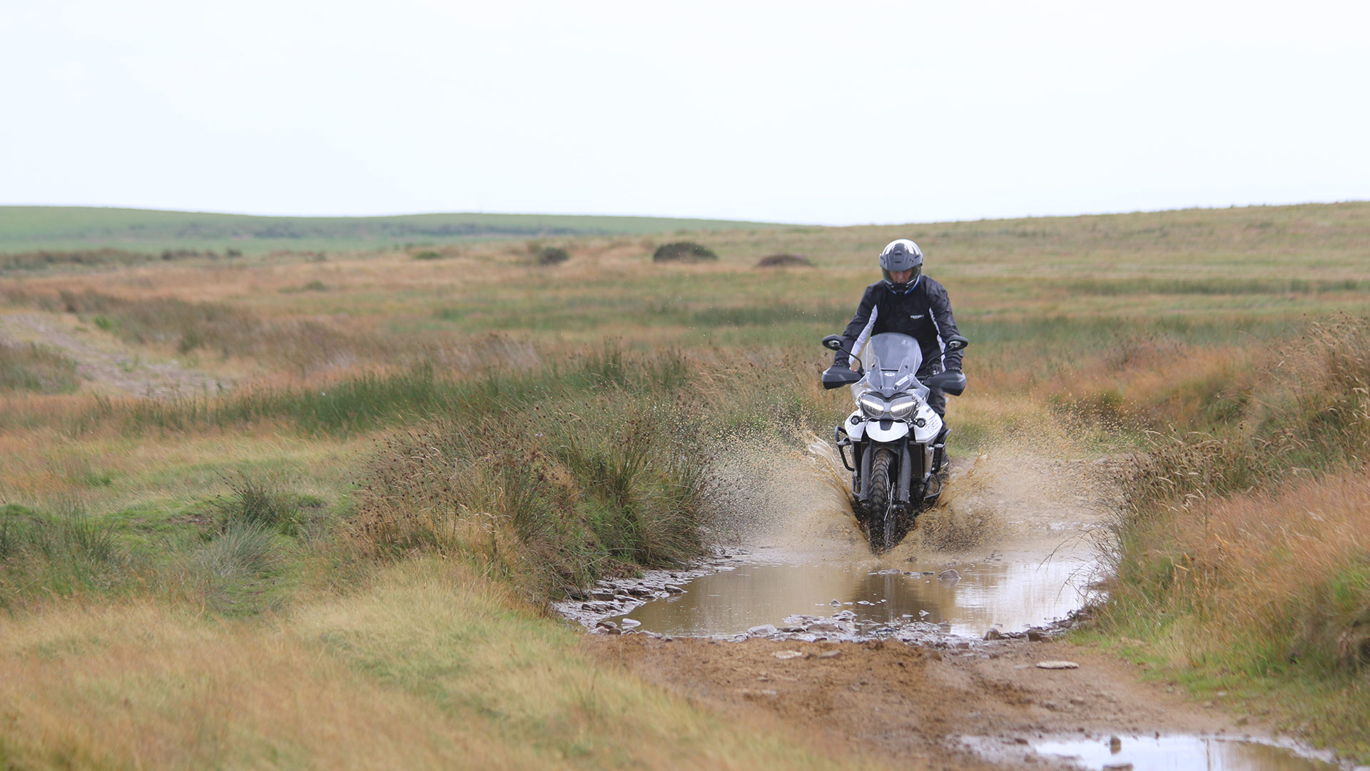 Triumph Tiger 1200 crossing the water on an adventure day